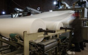 Suzano executive named 2015 Latin American CEO of the Year