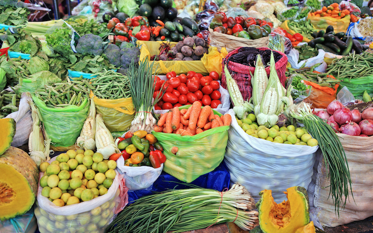 Peru’s Camposol names Manuel Salazar CEO